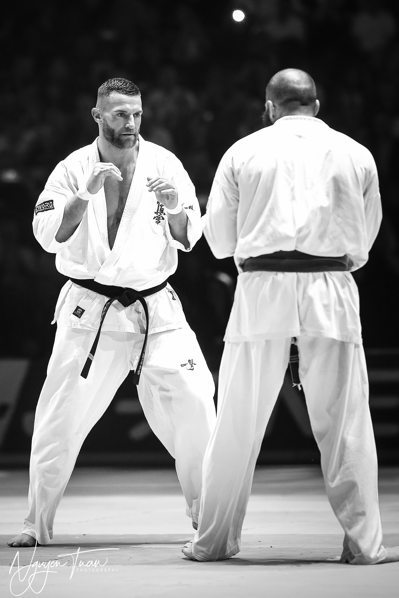 20190324 Festival des Arts Martiaux 6108